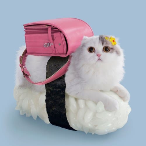 chat-sushi cartable