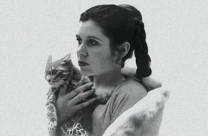 carrie-fisher-et-son-chat