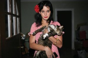katy-perry-et-son-chat-2