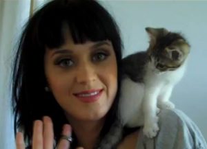 katy-perry-et-son-chat