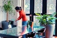 Arrosages des plantes par une catsitter
