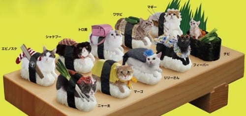 Chats-sushi plateau