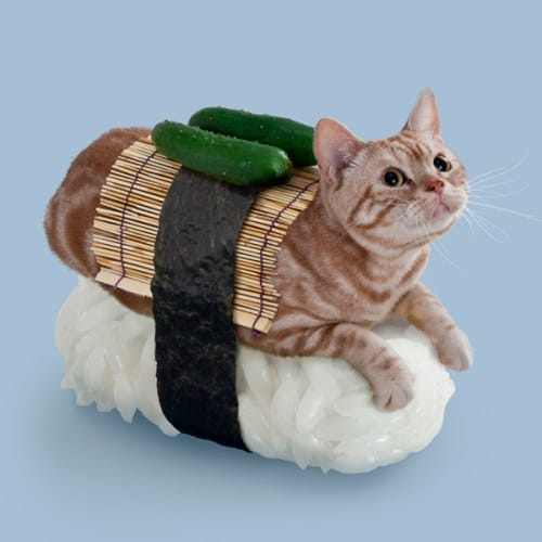 chat-sushi cornichons