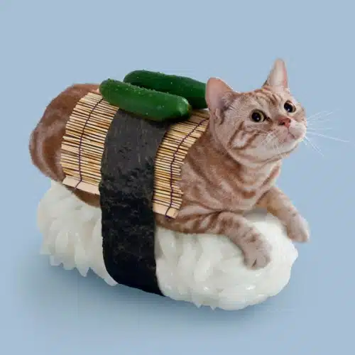chat-sushi cornichons