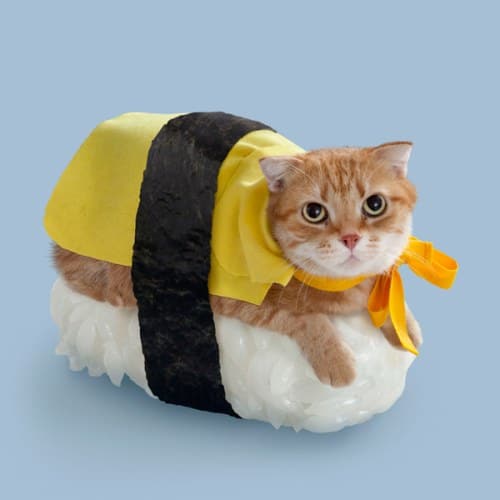 chat-sushi omelette