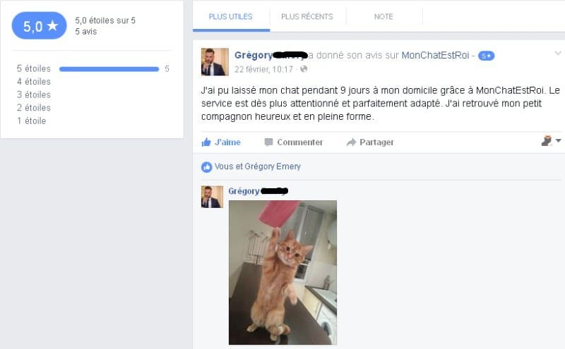 Hector, chat client MonChatEstroi à Paris 12e