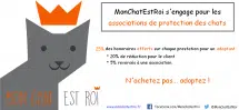 MonChatEstRoi s'engage pour les associations de protection des chats ! MonChatEstRoi s'engage pour les associations de protection