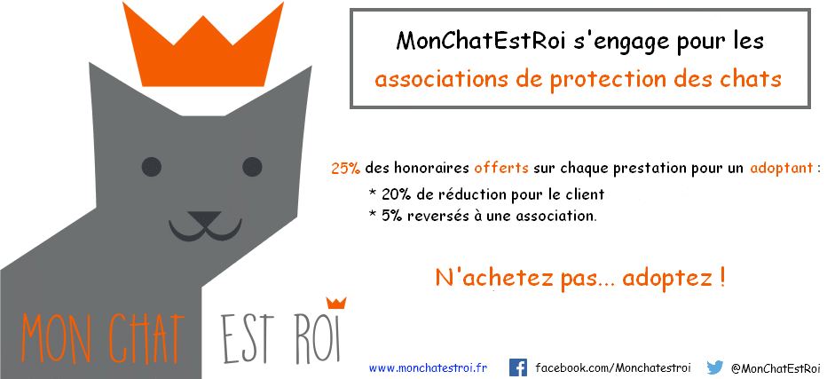 MonChatEstRoi s'engage pour les associations de protection