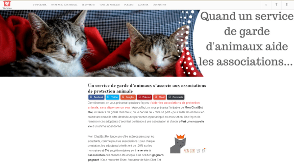 Article TakeMeHome sur MonChatEstRoi