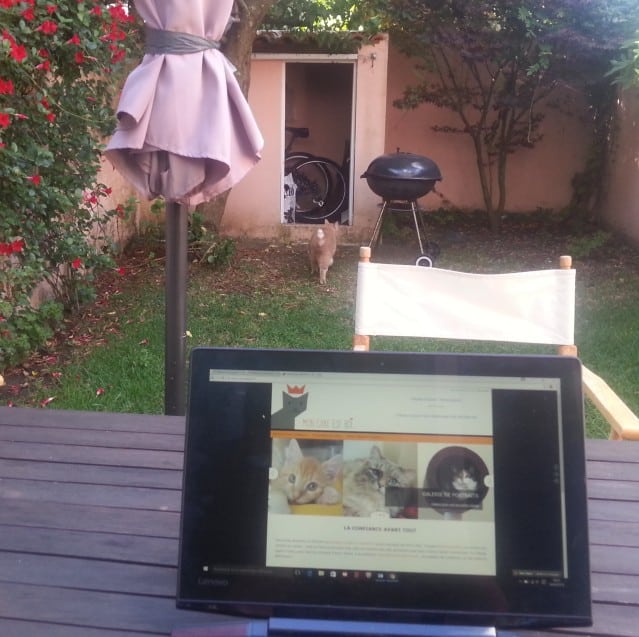 travailler-dans-un-jardin