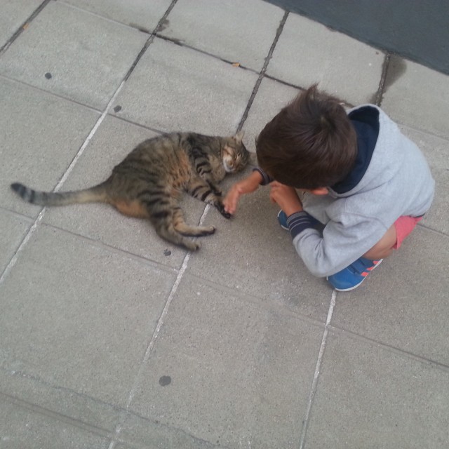 un-enfant-et-un-chat-a-porto