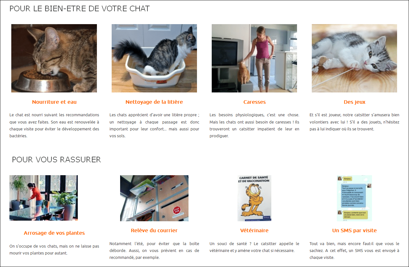 garde-de-chat-à-lille-prestations