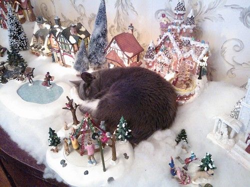 chat-allonge-dans-creche-de-noel