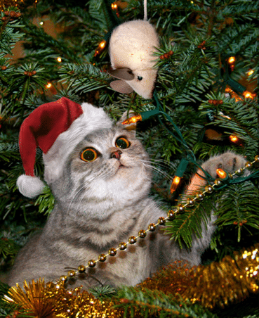 chat-voit-une-souris-dans-un-sapin-de-noel