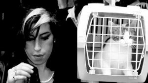 amy-winehouse-et-son-chat