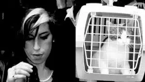 amy-winehouse-et-son-chat
