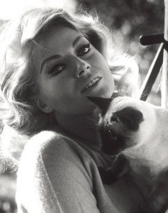 anita-ekberg-et-son-chat