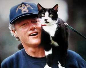 bill-clinton-et-son-chat