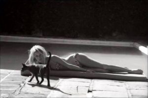 brigitte-bardot-et-son-chat