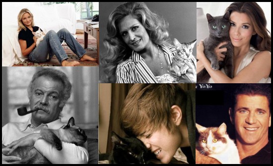 Chats de Stars 100 Photos 1