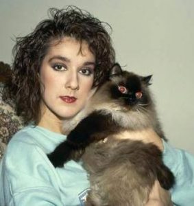 celine-dion-et-son-chat