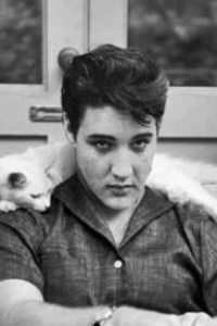 elvis-presley-et-son-chat