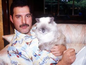 freddy-mercury-et-son-chat