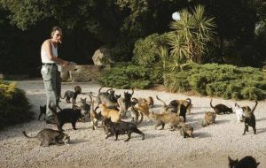 jacques-dutronc-et-ses-chats-en-corse