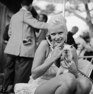 Jayne Mansfield et son chat