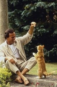 julio-iglesias-et-son-chat