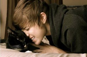 justin-bieber-et-son-chat