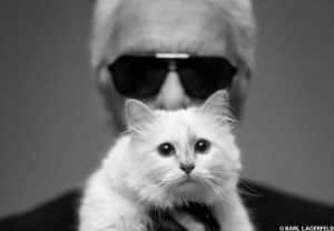 karl-lagerfeld-et-son-chat