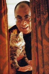 le-dalai-lama-et-son-chat
