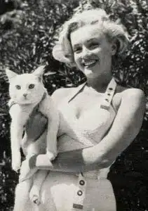 marilyn-monroe-et-son-chat