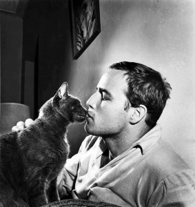 marlon-brando-et-son-chat