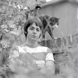 paul-mc-Cartney-et-son-chat