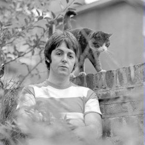 paul-mc-Cartney-et-son-chat