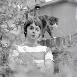 paul-mc-Cartney-et-son-chat