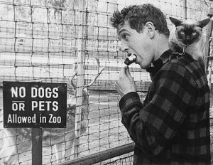 paul-newman-et-son-chat