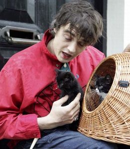 pete-doherty-et-ses-chats