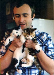 phil-collins-et-ses-chats