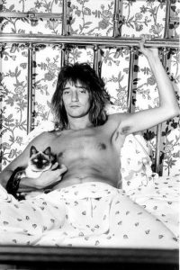 rod-stewart-et-son-chat