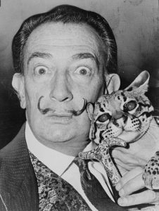 salvador-dali-et-son-chat