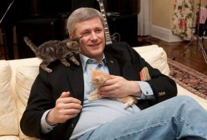 stephen-harper-et-ses-chatons