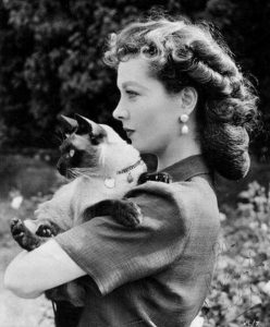 vivien-leigh-et-son-chat