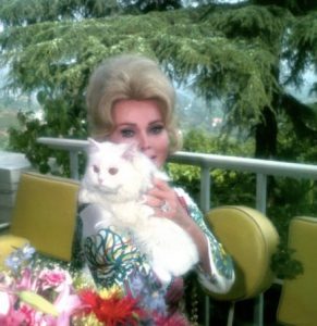 zsa-zsa-gabor-et-son-chat