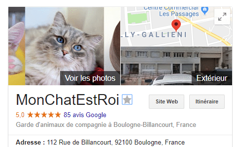 Chats heureux, maîtres enchantés... Avis Google