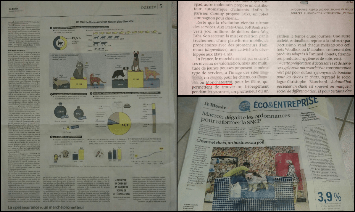 Article Le Monde MonChatEstRoi