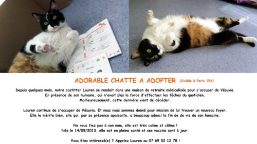 Belle histoire adoption Vésuvia - annonce