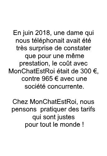 Tarifs MonChatEstRoi
